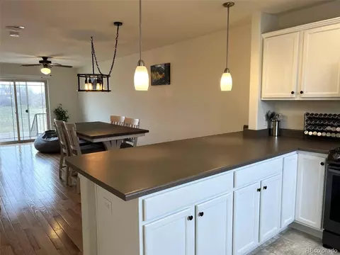 4779 E 98th Pl, Thornton, CO 80229 photo 7