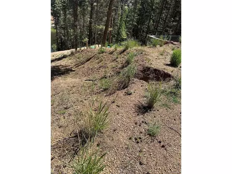 67 Gerka Ln, Florissant, CO 80816