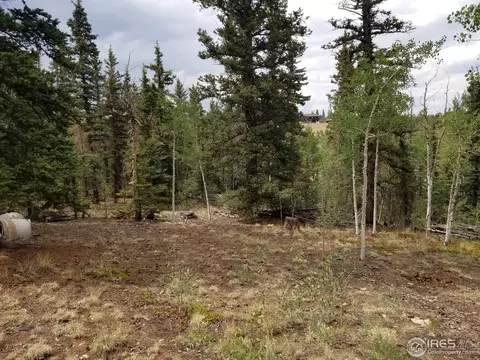 62 Kiwi Ct, Como, CO 80432 photo 22