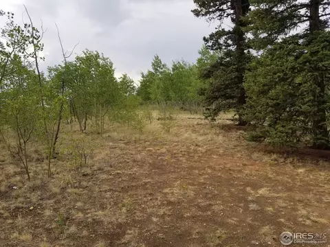 62 Kiwi Ct, Como, CO 80432 photo 28