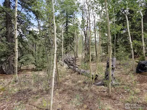 62 Kiwi Ct, Como, CO 80432 photo 20