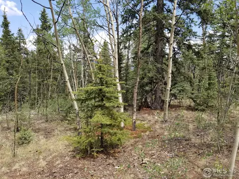 62 Kiwi Ct, Como, CO 80432 photo 21