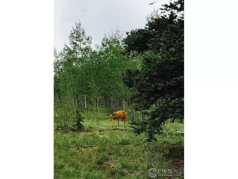 62 Kiwi Ct, Como, CO 80432 photo 32