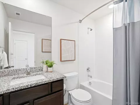 Bath - 7384 Blue River Ave, Frederick, CO 80530 photo 4 of 4