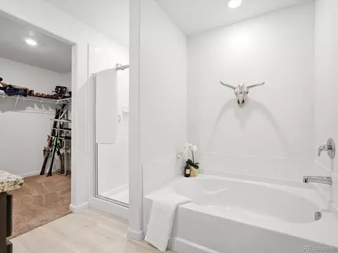 Bath - 7384 Blue River Ave, Frederick, CO 80530 photo 3 of 4