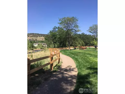 617 1st Ave, Lyons, CO 80540 photo 12