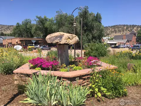 617 1st Ave, Lyons, CO 80540 photo 14