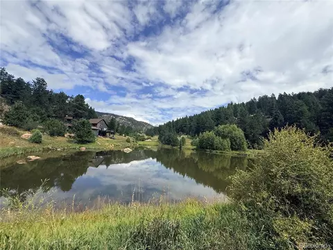 View/Area - 173 Wisp Creek Dr, Bailey, CO 80421 photo 7 of 7