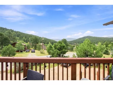 Exterior - 173 Wisp Creek Dr, Bailey, CO 80421 photo 3 of 11