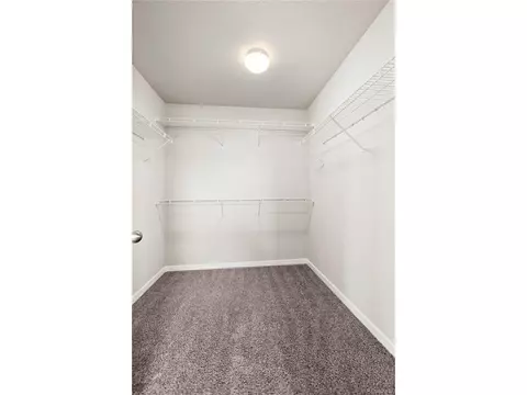 9848 Chromatic Ter, Peyton, CO 80831 photo 30