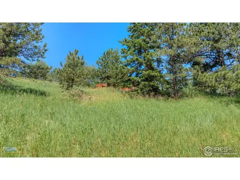 3331 Gold Run Rd, Boulder, CO 80302 photo 23