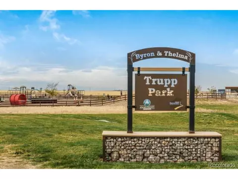 45822 Laceleaf Dr, Bennett, CO 80102 photo 8