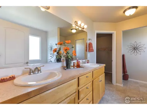 2050 Bayfront Dr, Windsor, CO 80550 photo 18