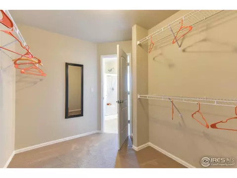 2050 Bayfront Dr, Windsor, CO 80550 photo 19