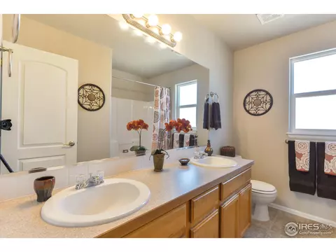 2050 Bayfront Dr, Windsor, CO 80550 photo 23
