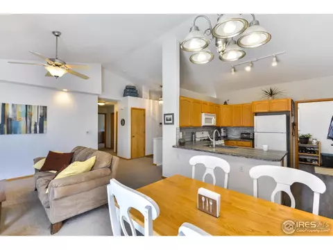 300 Buffalo Dr, Windsor, CO 80550 photo 12