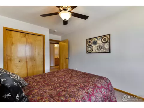 300 Buffalo Dr, Windsor, CO 80550 photo 20