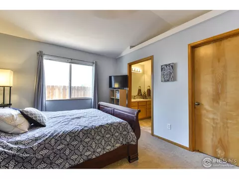 300 Buffalo Dr, Windsor, CO 80550 photo 17