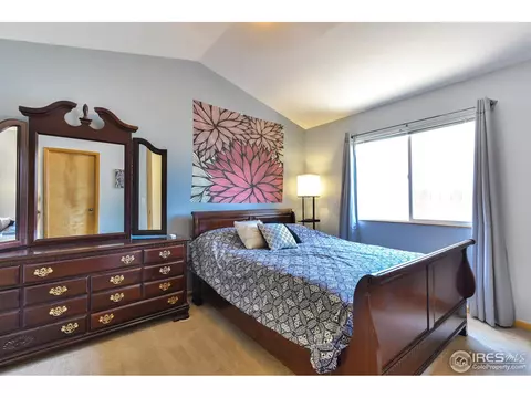 300 Buffalo Dr, Windsor, CO 80550 photo 16