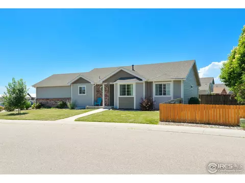 300 Buffalo Dr, Windsor, CO 80550 photo 34