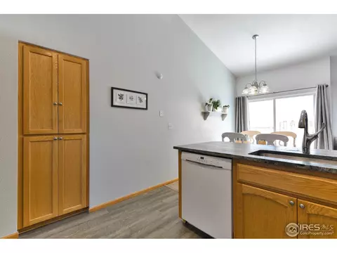 300 Buffalo Dr, Windsor, CO 80550 photo 7
