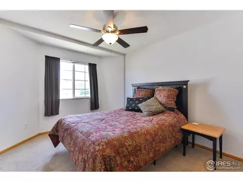 300 Buffalo Dr, Windsor, CO 80550 photo 19