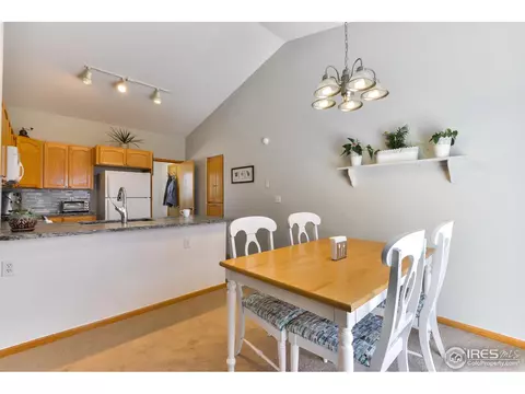 300 Buffalo Dr, Windsor, CO 80550 photo 10