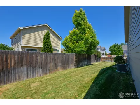 300 Buffalo Dr, Windsor, CO 80550 photo 33