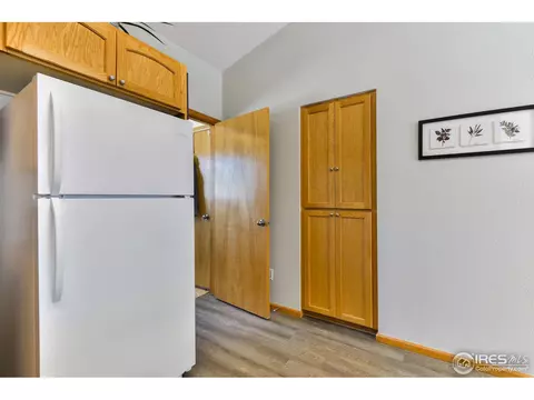 300 Buffalo Dr, Windsor, CO 80550 photo 8