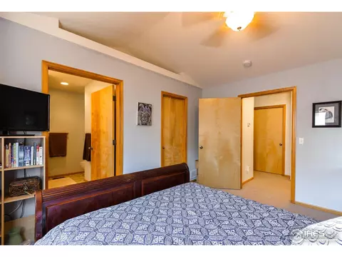300 Buffalo Dr, Windsor, CO 80550 photo 18