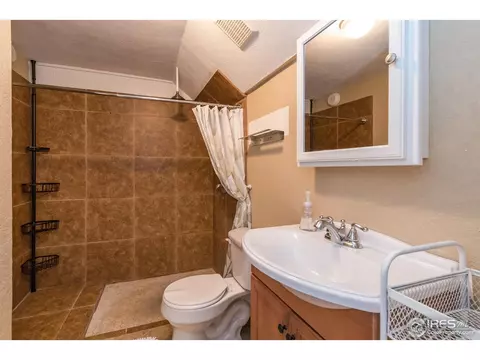 8832 Bruce St, Thornton, CO 80260 photo 20