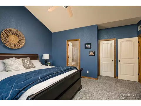 602 Wind River Ct, Windsor, CO 80550 photo 10