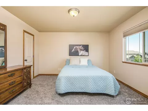 602 Wind River Ct, Windsor, CO 80550 photo 13
