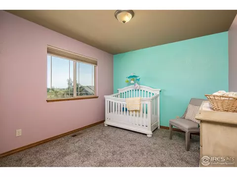 602 Wind River Ct, Windsor, CO 80550 photo 15