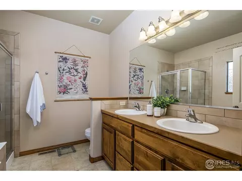 602 Wind River Ct, Windsor, CO 80550 photo 11