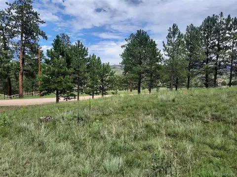 13549 Hedi Rd, Woodland Park, CO 80863