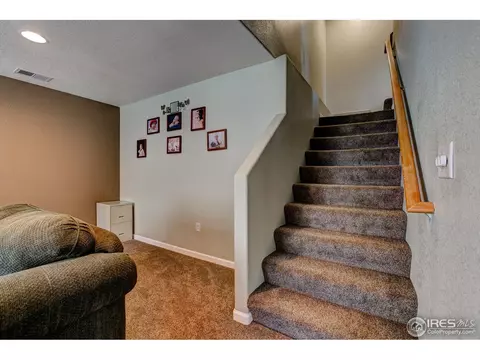 504 Vivian St, Severance, CO 80546 photo 23