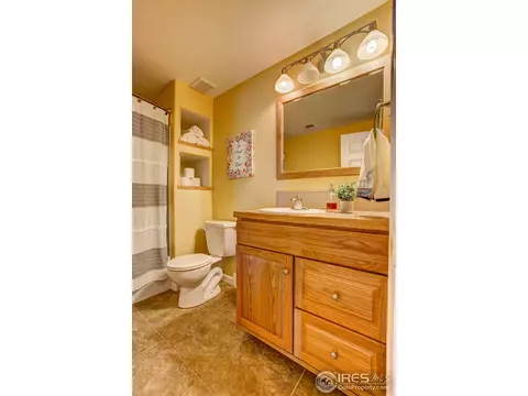 504 Vivian St, Severance, CO 80546 photo 27