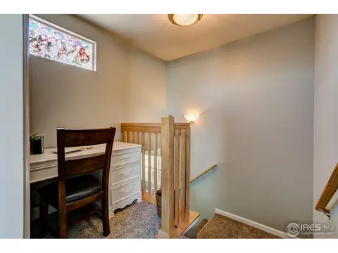 504 Vivian St, Severance, CO 80546 photo 19