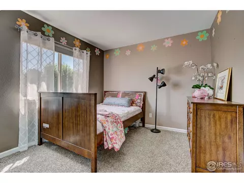 504 Vivian St, Severance, CO 80546 photo 15