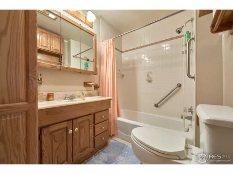 99 Gap Rd, Black Hawk, CO 80422 photo 10