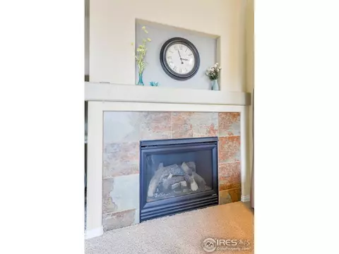 6321 Sienna Dr, Timnath, CO 80547 photo 4