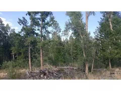 231 California Cir, Mosca, CO 81146