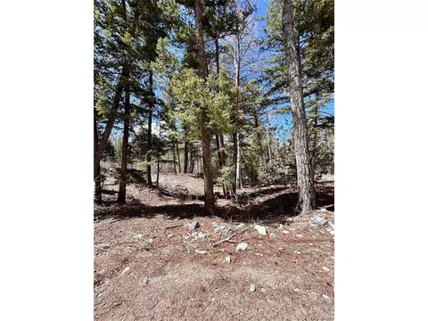 231 California Cir, Mosca, CO 81146 photo 10