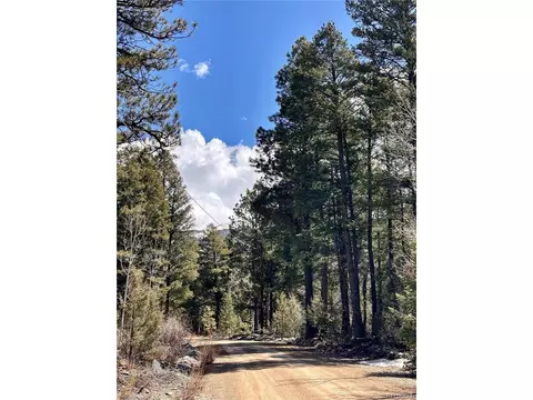 231 California Cir, Mosca, CO 81146 photo 11