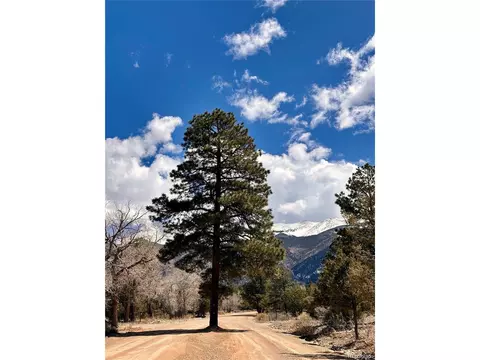 231 California Cir, Mosca, CO 81146 photo 6