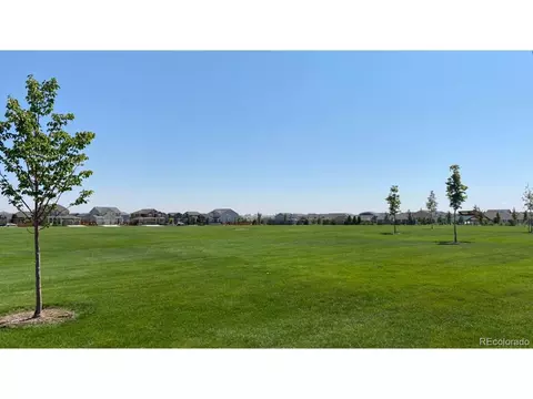 3081 E 163rd Pl, Thornton, CO 80602 photo 14
