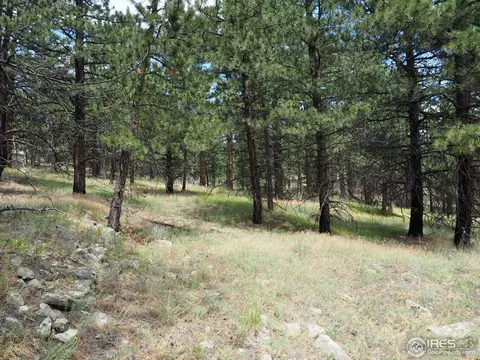 94 County Road 83, Boulder, CO 80302 photo 21