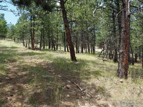 94 County Road 83, Boulder, CO 80302 photo 28