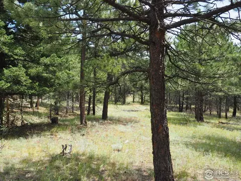 94 County Road 83, Boulder, CO 80302 photo 15